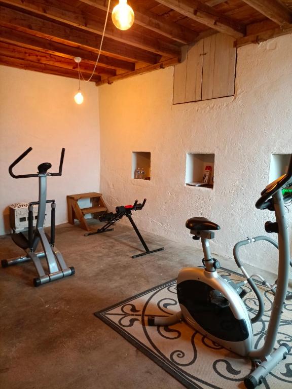 Fitness centrum a/nebo fitness zařízení v ubytování Château d'Arfeuilles Chambres et tables d'hôtes