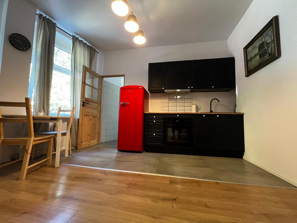 Kuchyňa alebo kuchynka v ubytovaní BISCHOFSBERG Gdańsk City Center Apartments
