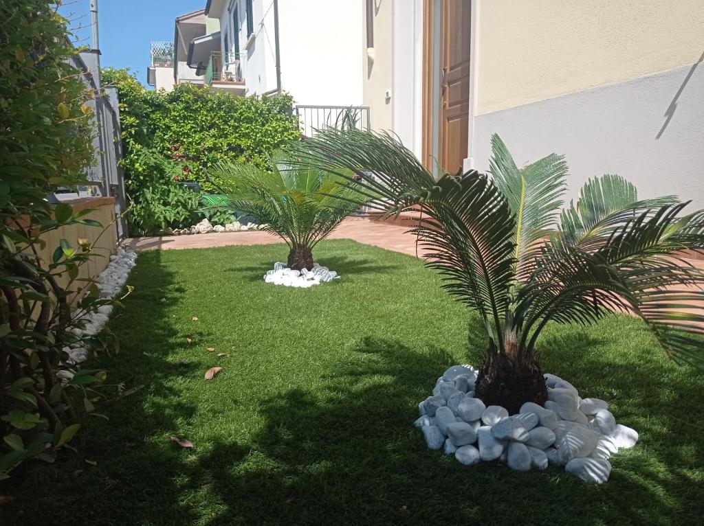 a yard with two palm trees and green grass at SANTA MARIA HOUSE in Empoli