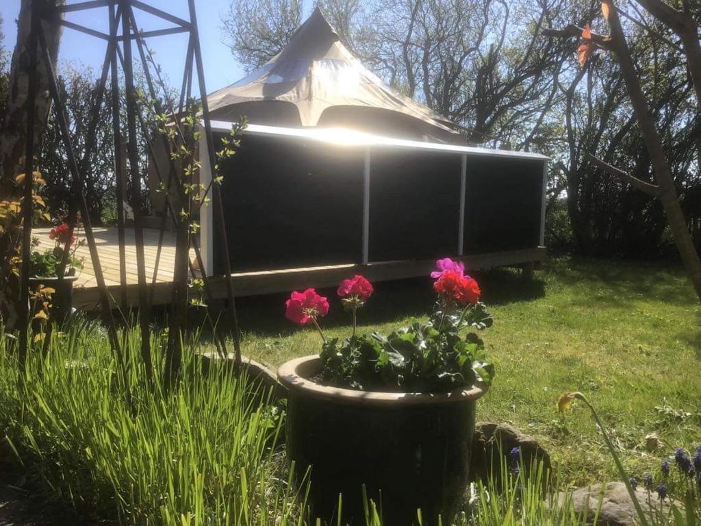 Zahrada ubytování Romantic Luxus Glamping 3