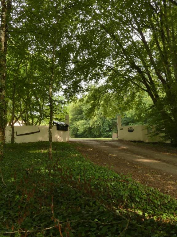 drzewo na środku drogi gruntowej w obiekcie Domaine du Venet w mieście Montcony