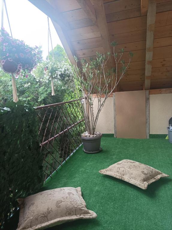 Apartmani Marija Zemun - 工作室公寓