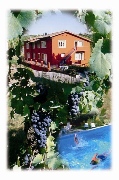 een schilderij van een huis en een rivier met druiven bij La Vignola in Barga