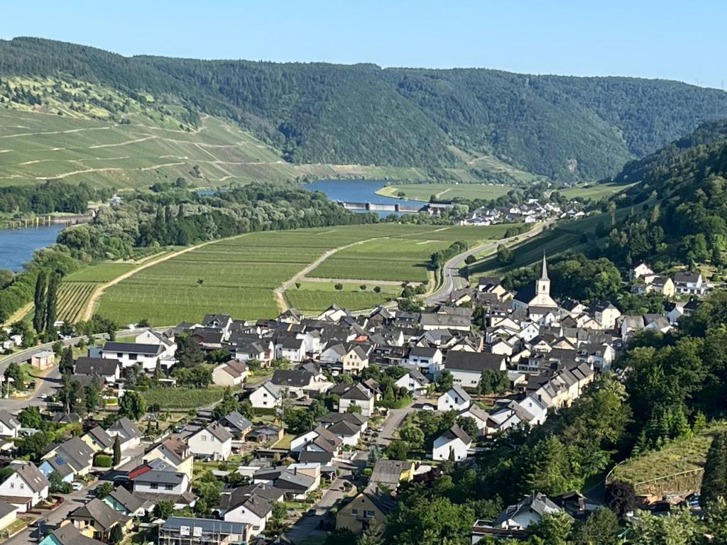 een luchtzicht op een klein dorp in de bergen bij Ferienwohnung "Moseltraum" Ensch in Ensch