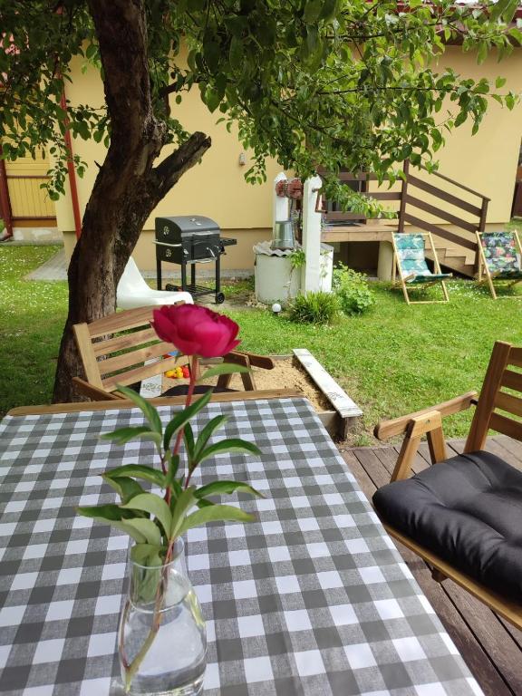 a flower in a vase sitting on a table at Domek babci Marysi in Krasnobród