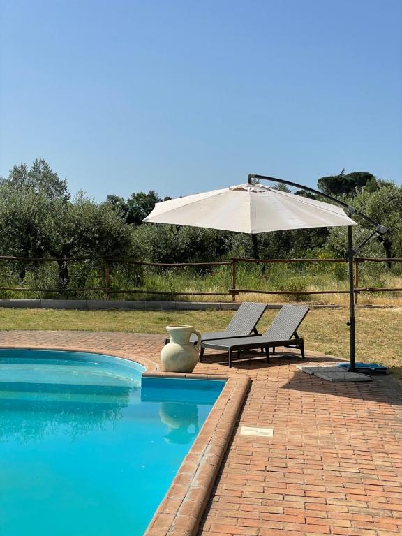 The swimming pool at or close to Podere Umbro