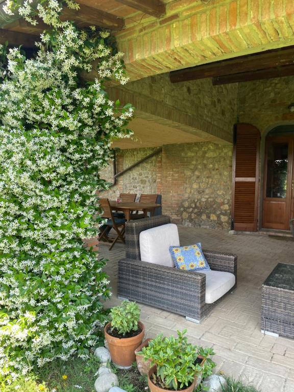 A garden outside Podere Umbro