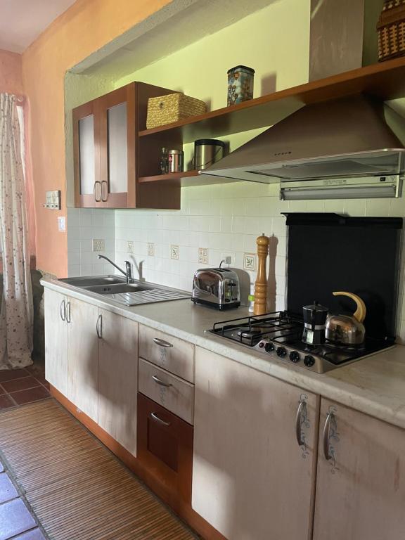 A kitchen or kitchenette at Podere Umbro