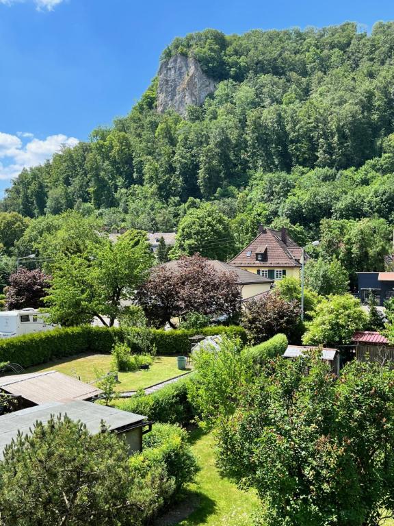 a view of a garden with a mountain in the background at Felsenblick Himmelsfels in Geislingen an der Steige