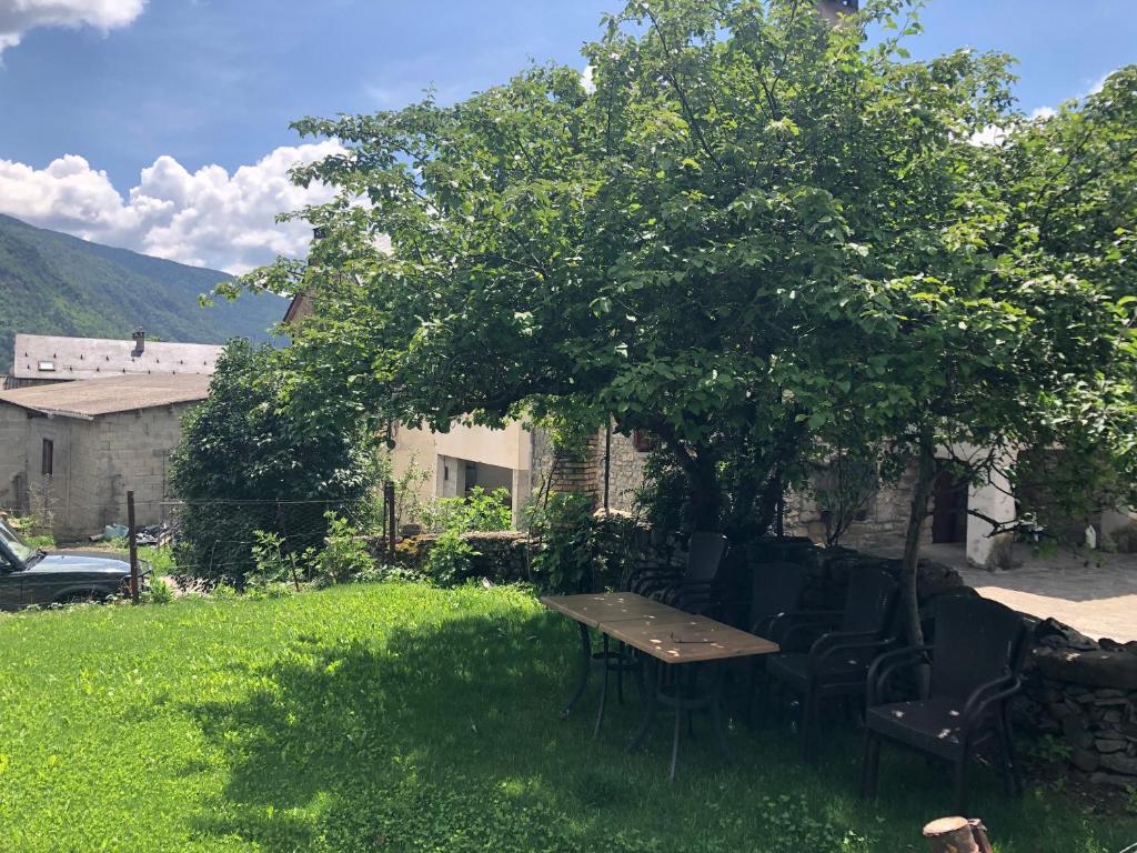 Příroda nedaleko apartmánu