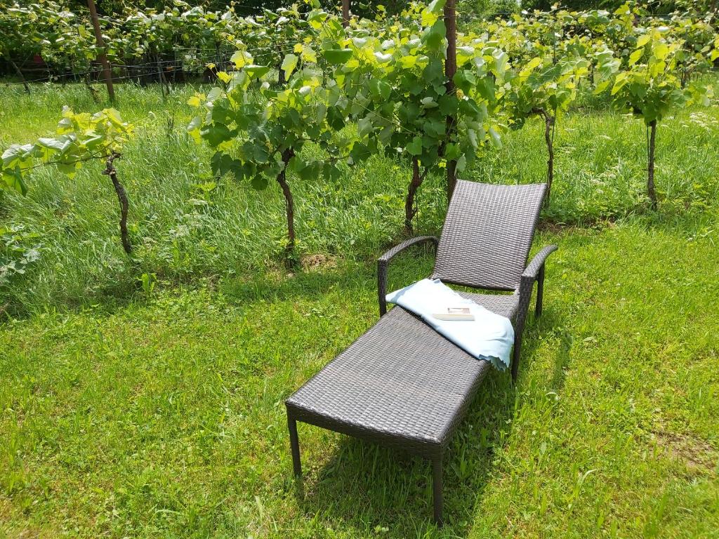 A garden outside Ferienhaus Eisenberg