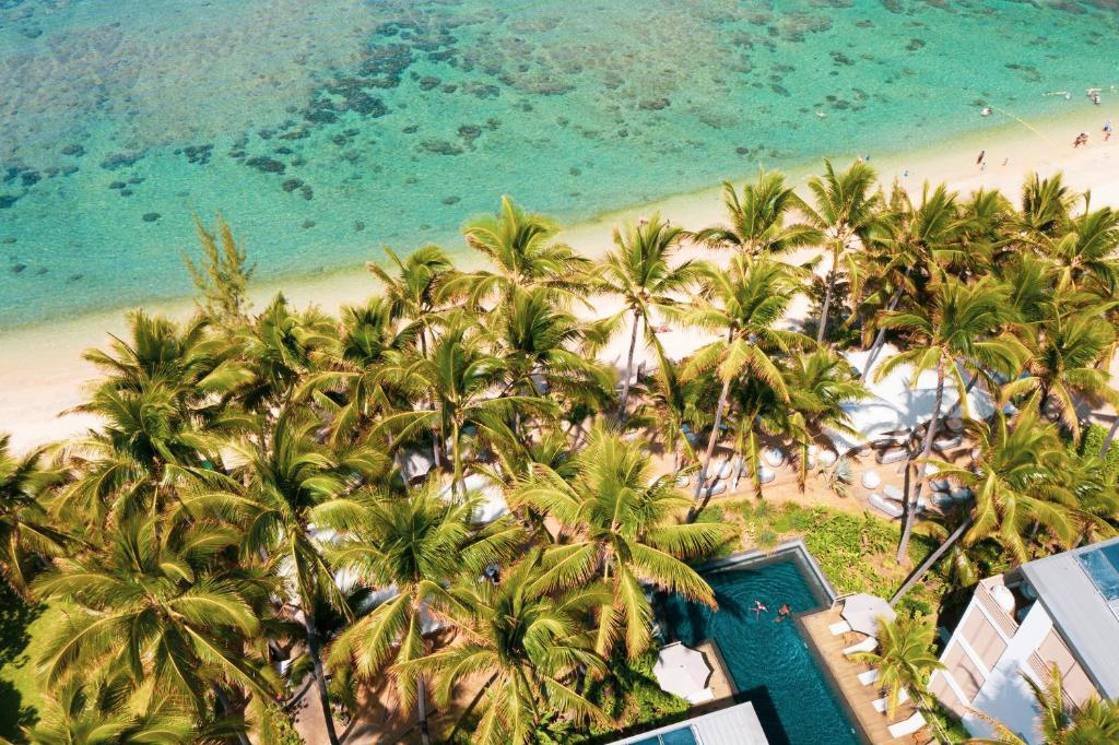 an aerial view of a beach with palm trees and the ocean at Ness by D-Ocean in Saint-Gilles-les-Bains