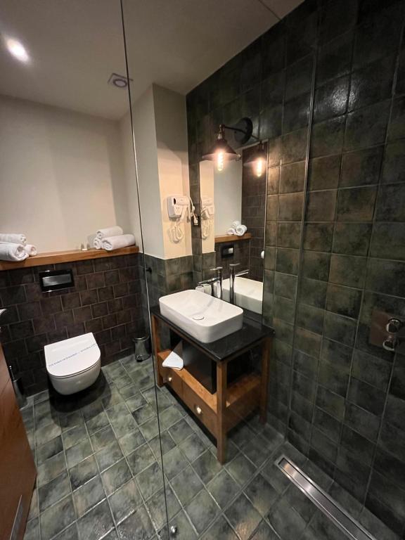 a bathroom with a sink and a toilet and a shower at Vlasinsko jezero VILA BEST in Surdulica