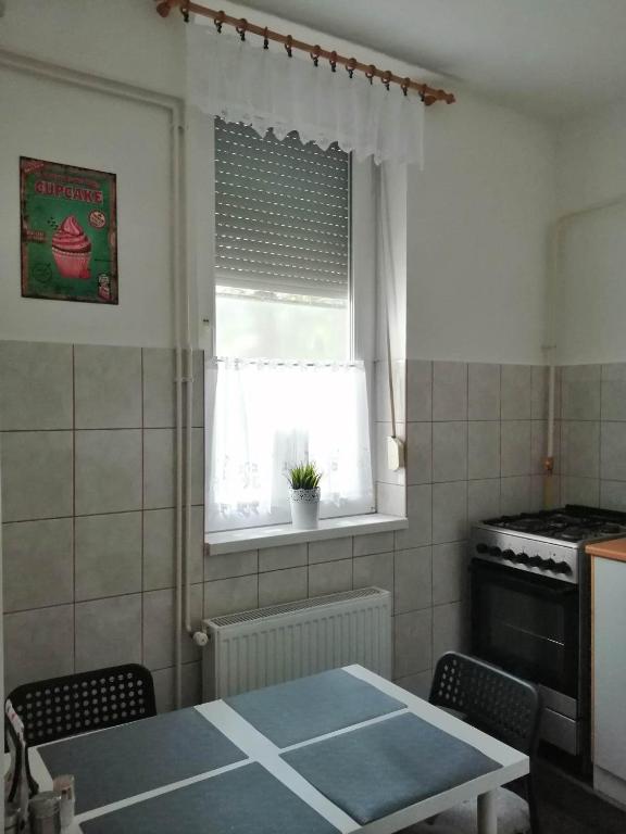 Kuchyňa alebo kuchynka v ubytovaní Aréna Apartman