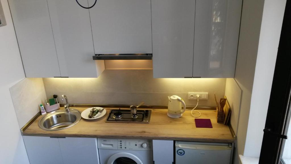 a small kitchen with a sink and a washing machine at Tengiz`s Apartment on Gorgiladze in Batumi