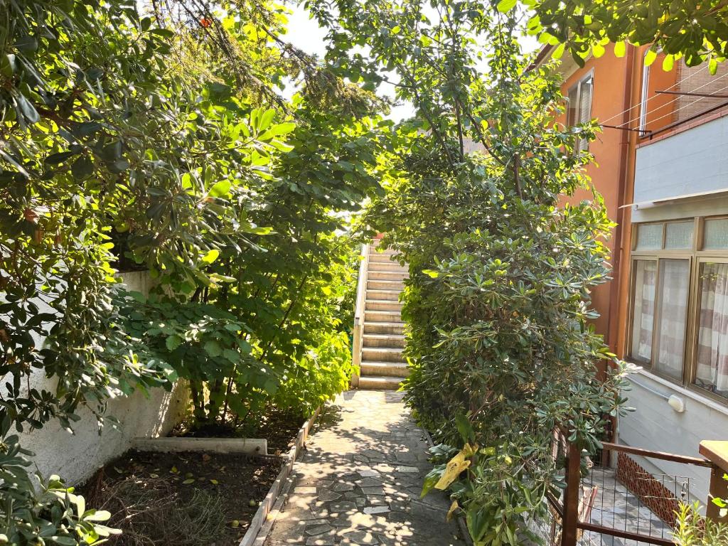 Foto dalla galleria di Casa Riotorto a Riotorto