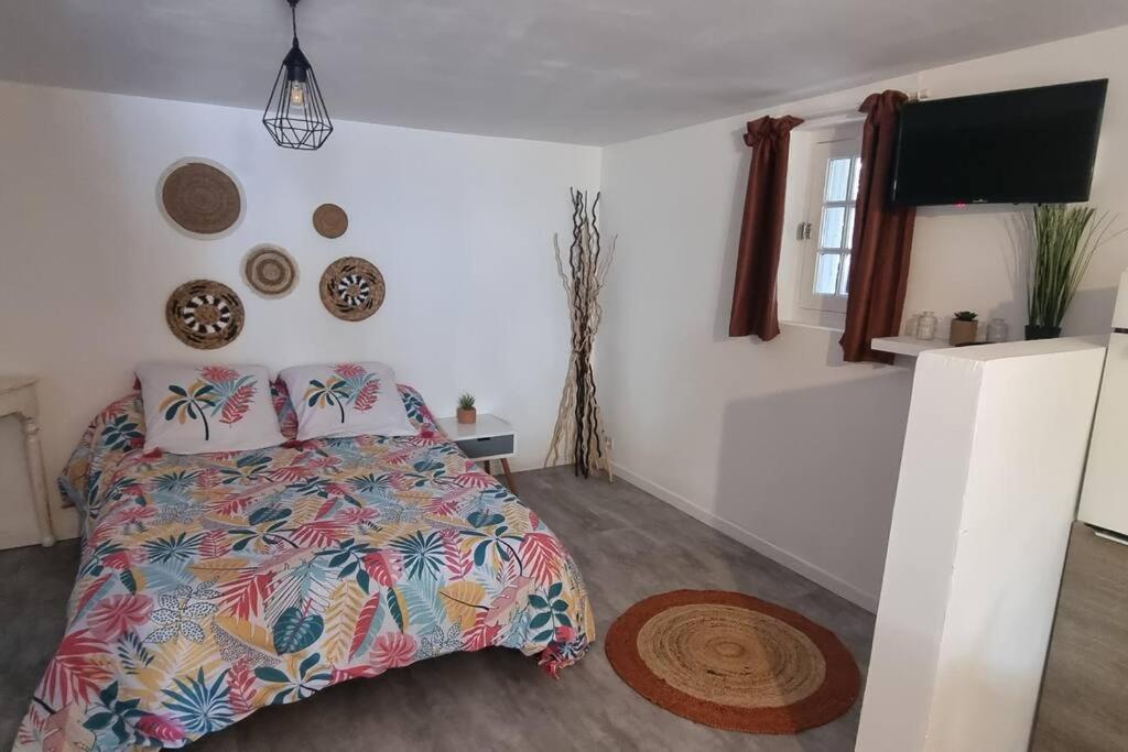 - une chambre avec un lit doté d'un couvre-lit coloré dans l'établissement Studio en camargue, à Arles