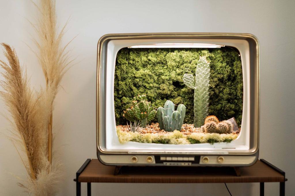 Urban Jungle Apartments - Resim 17