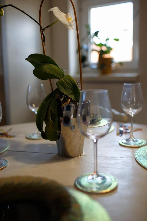 Nápoje v ubytovaní Apartman Lastovicka