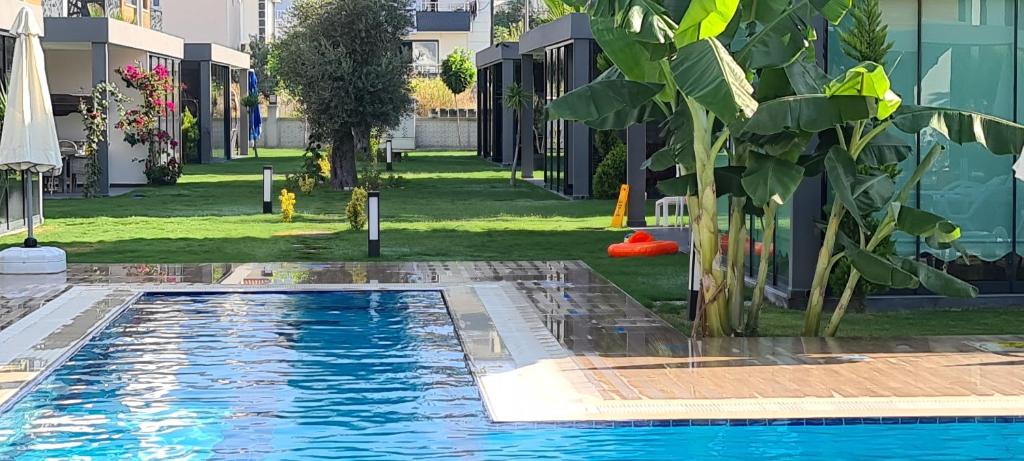 une piscine avec un palmier à côté d'un bâtiment dans l'établissement Traumvilla in Kusadasi, à Kusadası