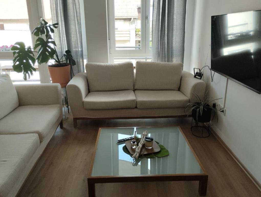 Apartman Zagreb , with balcony and FREE parking - 1