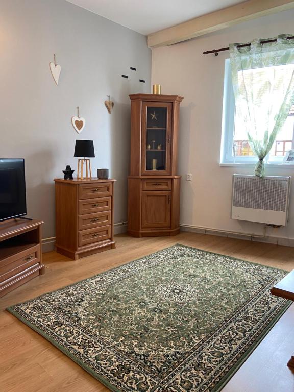 TV a/nebo společenská místnost v ubytování Penzion U Radnice
