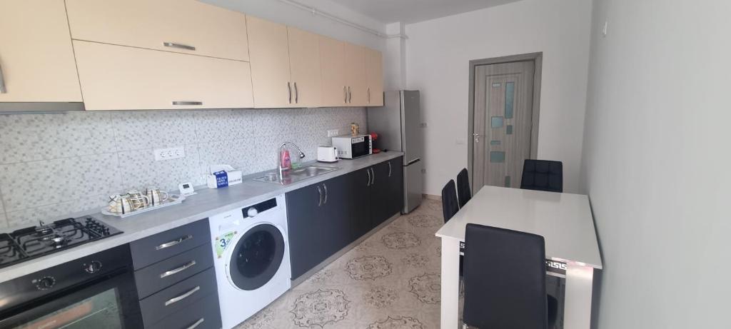 uma cozinha com um lavatório e uma máquina de lavar e secar roupa em Apartament mihaela em Râmnicu Vâlcea