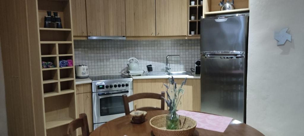 Kuchyň nebo kuchyňský kout v ubytování Anemomilos Villa