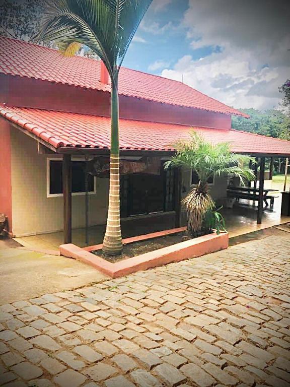 a building with two palm trees in front of it at Sítio Recanto do Paturi in Piranguinho