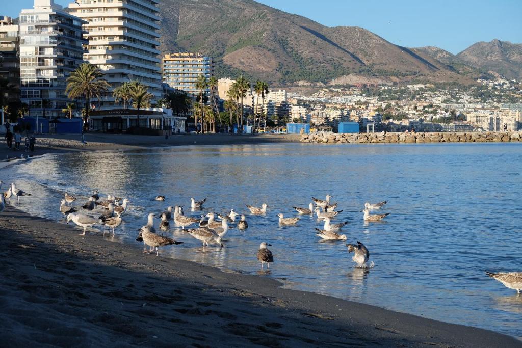 Fotografie z fotogalerie ubytování Apartamento playa medina 1 v destinaci Fuengirola