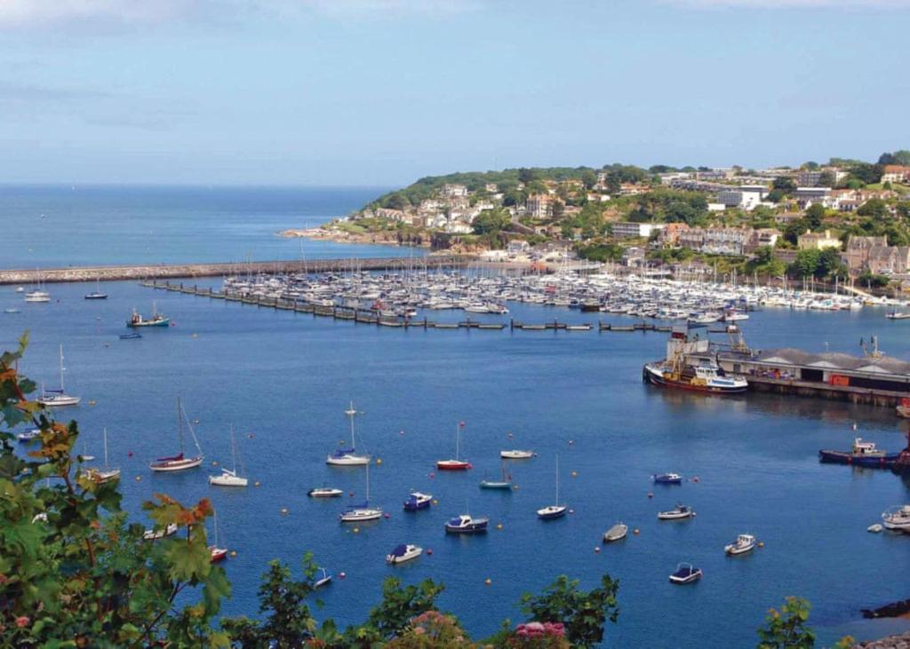 a harbor filled with lots of boats in the water at Brixham Holiday Park in Brixham