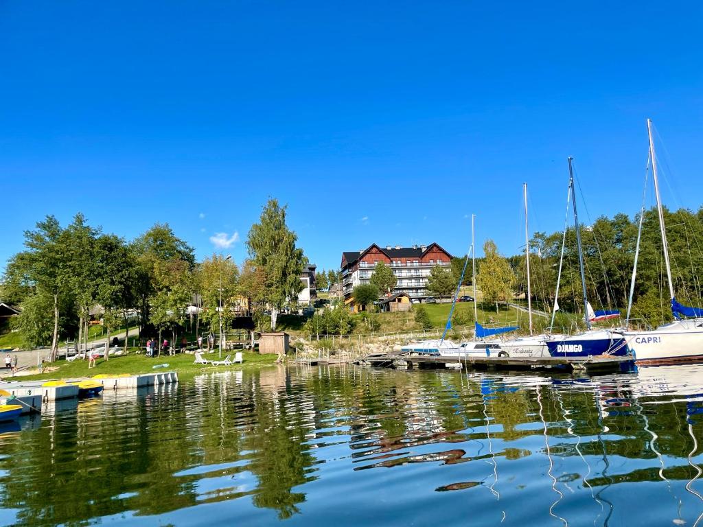 a group of boats docked at a marina at Góralskie Apartamenty Trimont in Czorsztyn