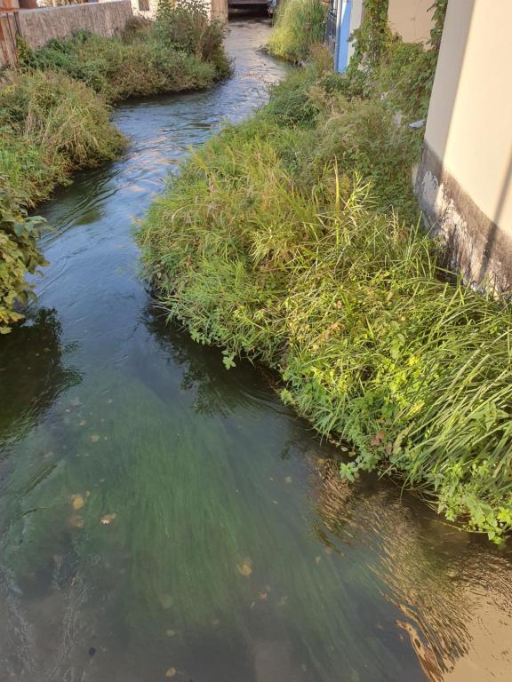 Les berges du moulin – photo 10