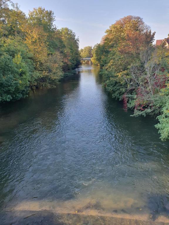 Les berges du moulin – photo 7
