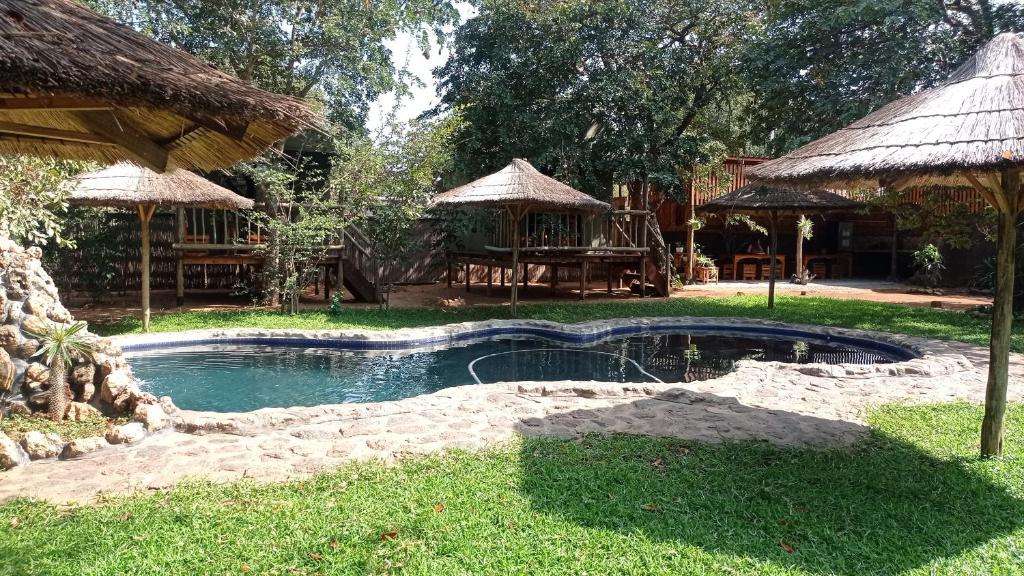 a small swimming pool in a yard with a hut at Elephant Trail Guesthouse and Backpackers in Kasane