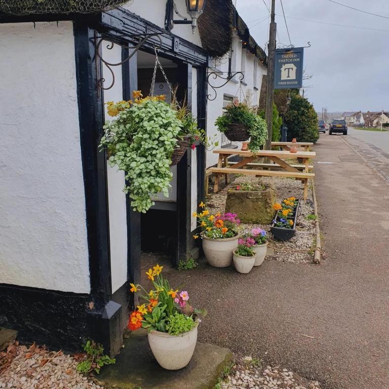 a row of flower pots on the side of a building at The Old Thatch Inn in Cheriton Bishop