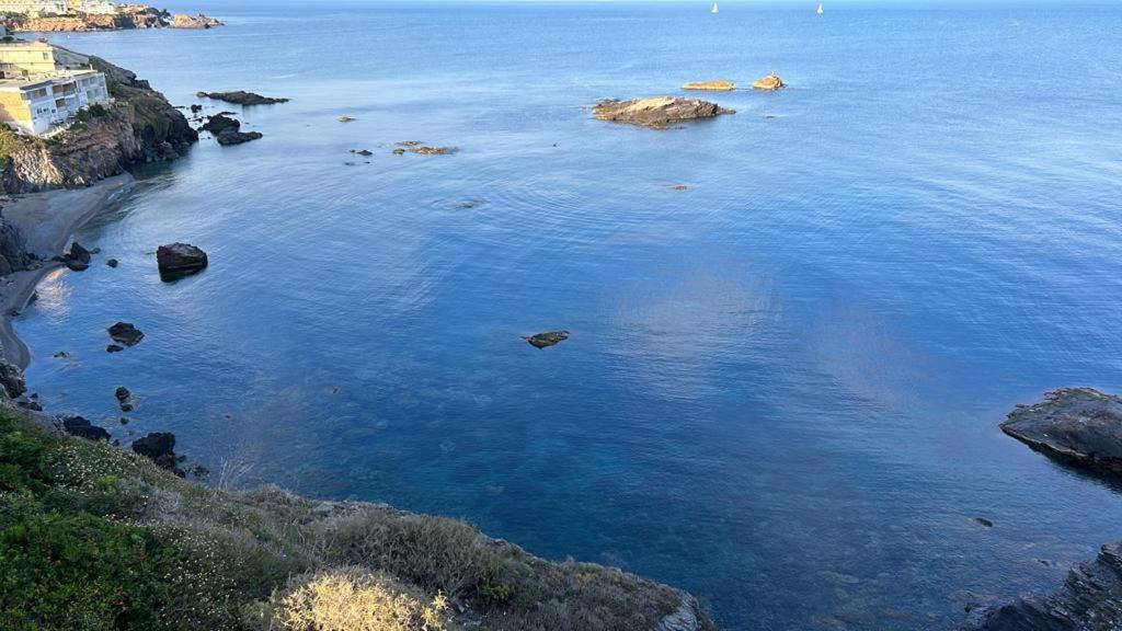 Une grande masse d'eau avec des rochers. dans l'établissement APARTAMENTO CALAFLORES, à Cap de Palos