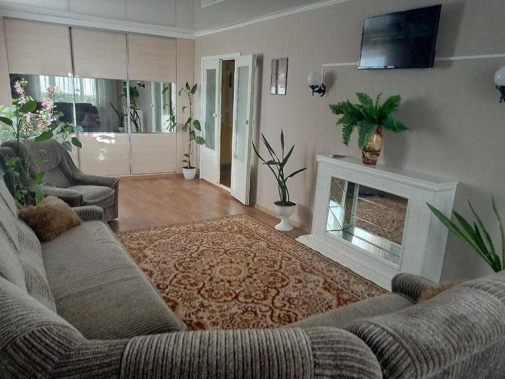 a living room with a couch and a fireplace at Дубоссары ,ул.Ломоносова 8 А in Corjova