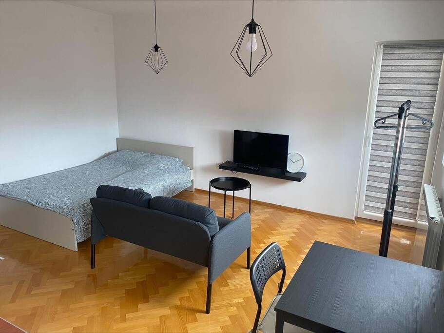 een woonkamer met een bank, een bed en een tafel bij Apartman Tea in Bijeljina