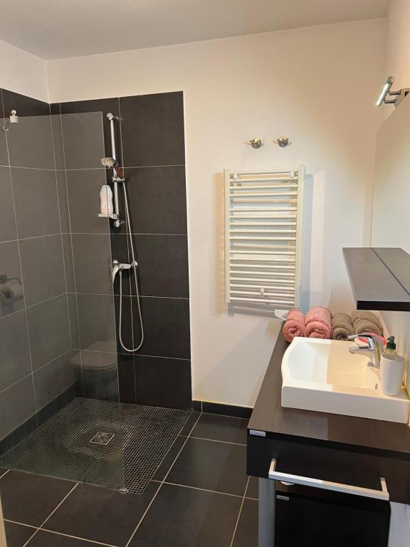 a bathroom with a shower and a sink at T2 avec très grande terrasse in Bastia