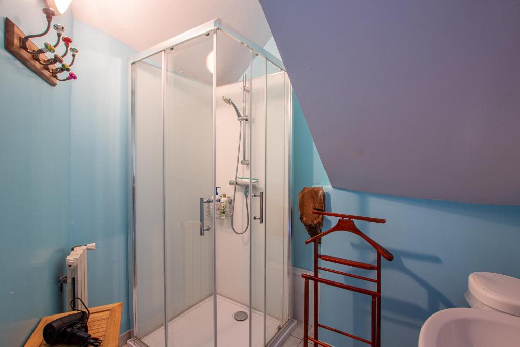 a bathroom with a shower with a ladder in it at ROCHE-LOIRE in Le Thoureil