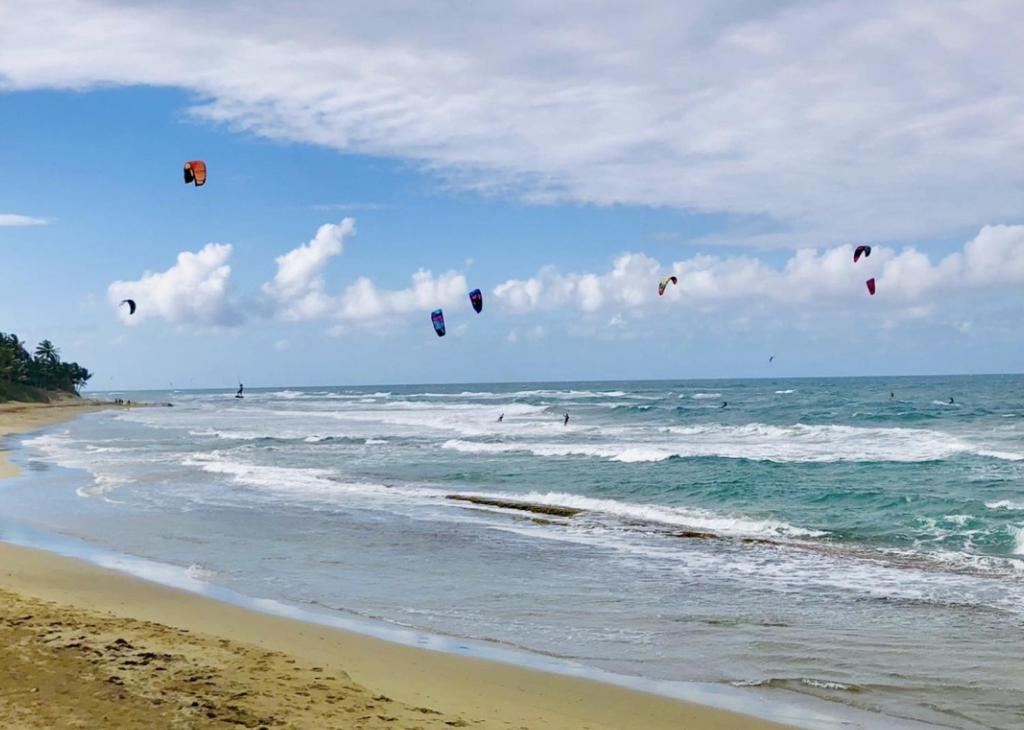 a group of kites flying in the sky over the ocean at CasaDePlaya Cabarete Beachfront in Cabarete