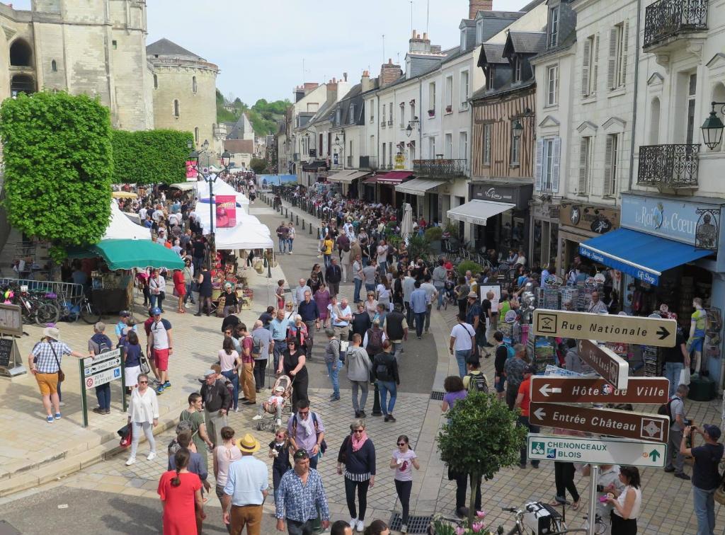 a crowd of people walking down a busy city street at Studio Amboise centre historique in Amboise