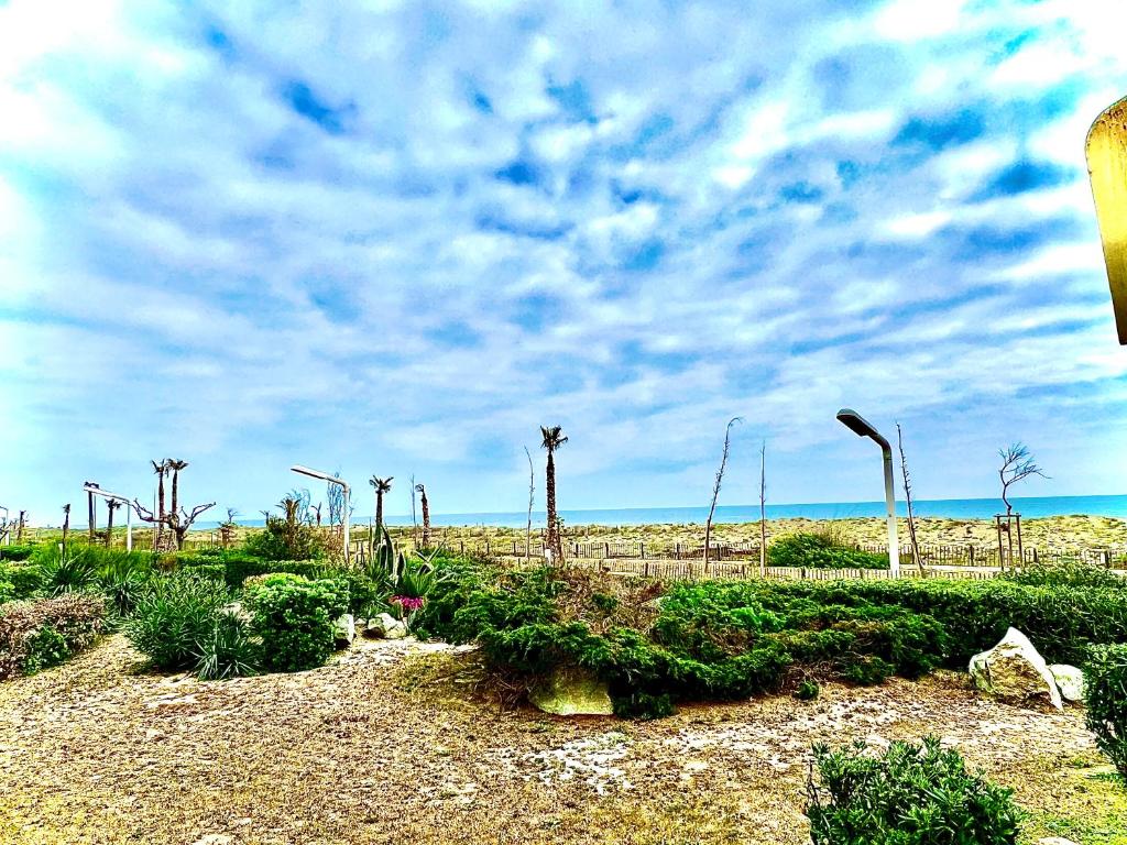 a field with bushes and palm trees on a cloudy sky at Vue Mer\Plage\Parking Gratuit\wifi in Le Barcarès