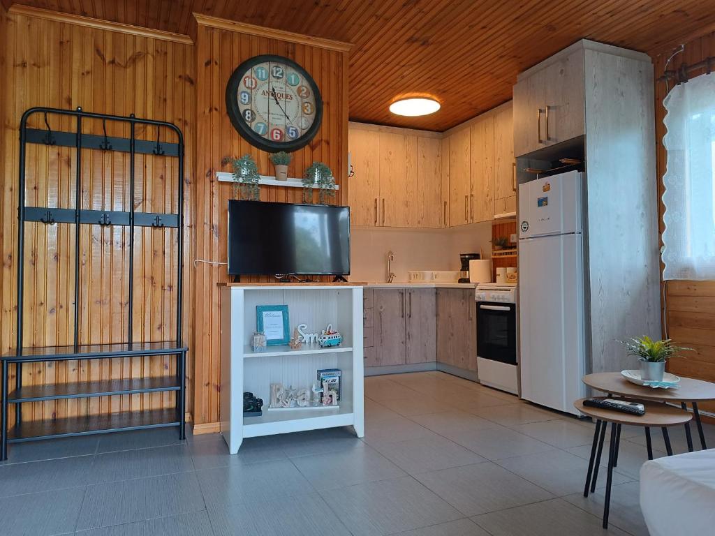 Kuchyň nebo kuchyňský kout v ubytování DemiNik Summer House