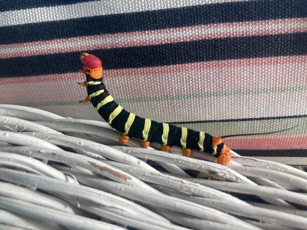 a toy caterpillar sitting on top of a white basket at Villa Ocean Blu in Cap Estate