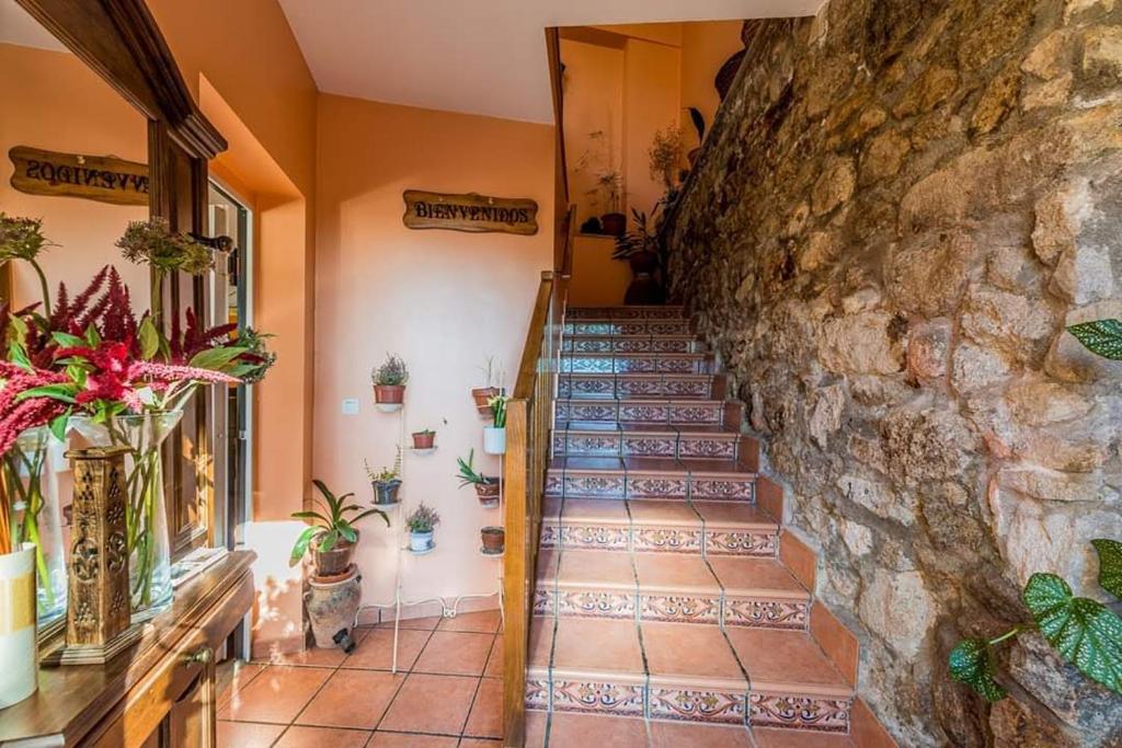Fotografia z galérie ubytovania Apartamentos & Casa Rural Boada con Jardin Interior y Barbacoa v destinácii Villamiel