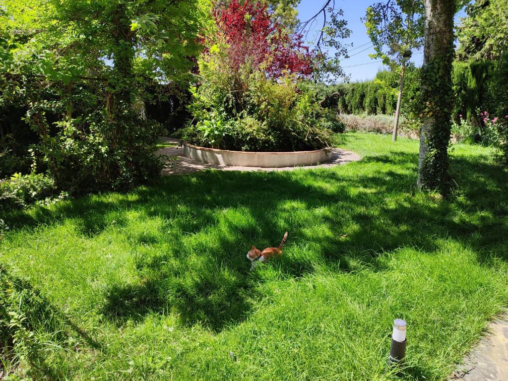 El Sester, Torremanzanas – Updated 2023 Prices