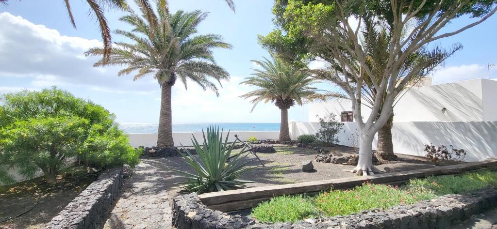 Loro Verde, Playa Honda – Precios actualizados 2023