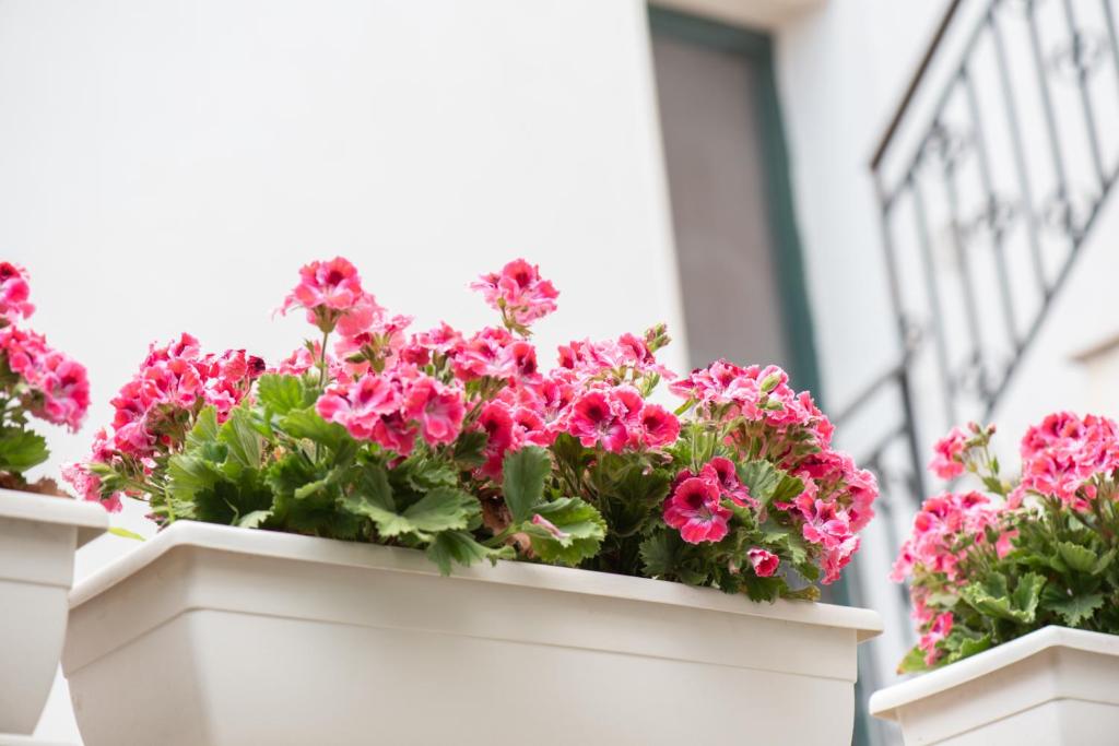 IL CORTILETTO - foto 5